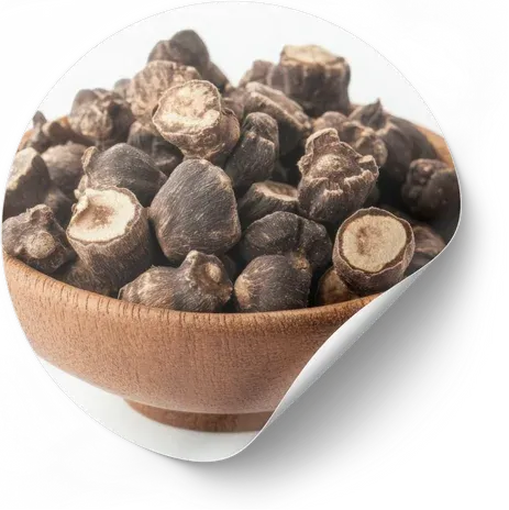 Maca Root Extract ingredient in AudiLeaf for stamina and healthy nerve function